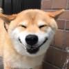 哦呼